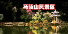 美女艹逼亚洲