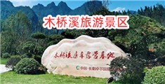 免费操屄大视频网站