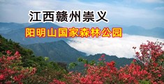 我想看骚逼操逼大黑逼欧美婷婷